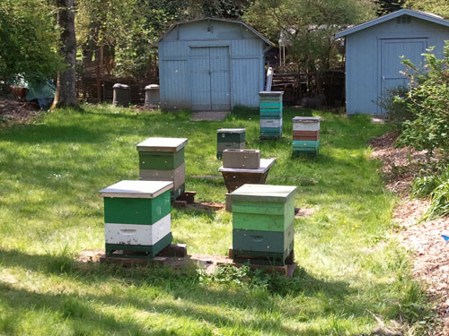 PSBA Apiary at Graham Visitor Center in the UW Arboretum