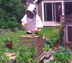 PSBA Backyard Beekeeper