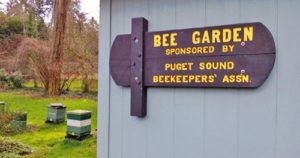 PSBA Bee Garden at UW Arboretum