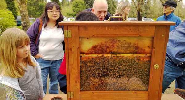 Newcastle Earth Day - PSBA Observation Hive