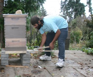Danny Najera Weighing Hive