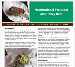 Neonicotinoid Pesticides and Honey Bees WSU paper