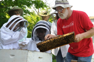 Peter Borst teaching bees