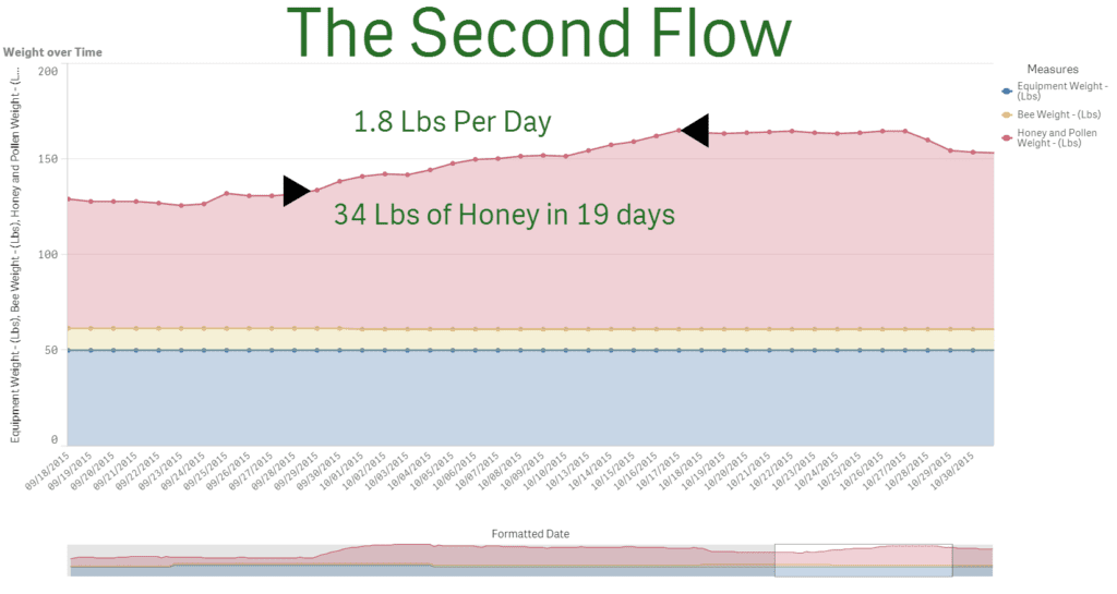 Bee Data - Second Flow