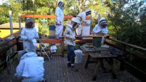 Danny Najera and a team of students making observations on and inserting sensors into our hives. 