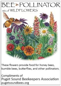 bee garden seeds